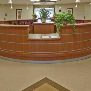 A modern office reception area with a curved wooden desk and decorative plants.