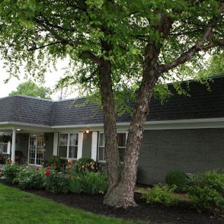A charming house surrounded by lush greenery and trees.
