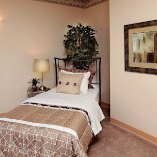 A cozy and inviting single bedroom featuring a stylish bed, decorative pillows, a bedside lamp, and a touch of greenery.