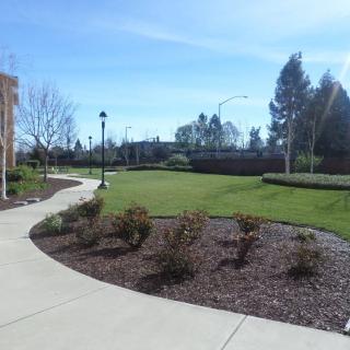 A serene park with a winding walkway, surrounded by lush greenery and trees under a clear blue sky.