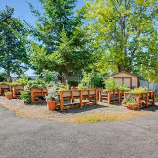 A peaceful outdoor garden area with planter boxes surrounded by lush trees on a sunny day.