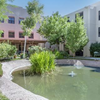A serene outdoor garden area featuring a pond with a fountain surrounded by trees and a multi-story building.