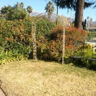 A garden with an archway surrounded by lush plants and trees.