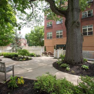 A peaceful garden area with a large tree, benches, and surrounding plants beside a brick building.