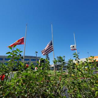 A view of three flagsrepresenting the United States, China, and Mexicofluttering under a clear blue sky, surrounded by greenery.
