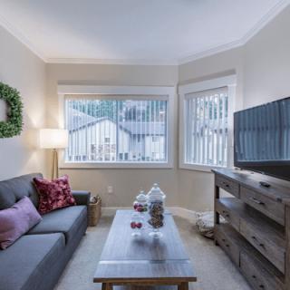 A cozy living room with a sofa, TV, and window.