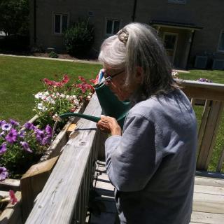 A person watering flowers on a deck in a sunny outdoor setting.