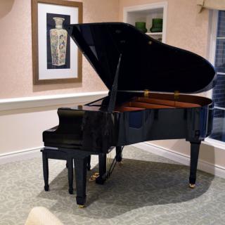 A grand piano in a well-decorated music room with art on the wall.