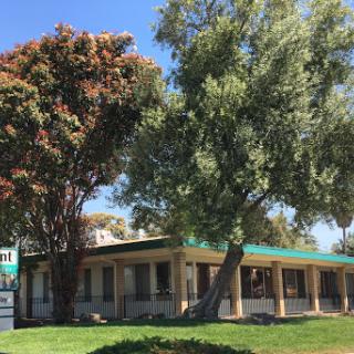 A charming building surrounded by lush trees and clear blue skies.
