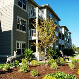 A suburban apartment building with well-maintained landscaping and deer in the garden on a sunny day.