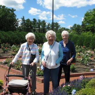 Three elderly women enjoying a sunny day in a garden filled with blooming flowers and greenery.
