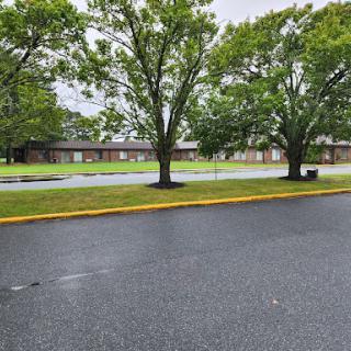 A peaceful view of a parking lot surrounded by trees and buildings under an overcast sky.