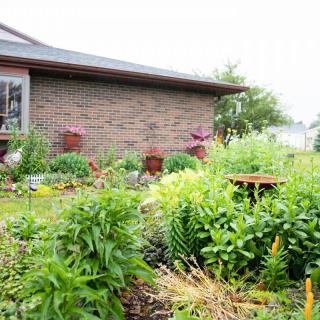 A lush garden filled with various plants and flowers beside a brick house.