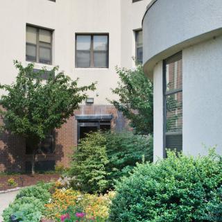 A well-maintained garden with shrubs and flowers in front of a building.