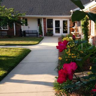 A serene garden path lined with vibrant red flowers leading to a cozy house entrance.