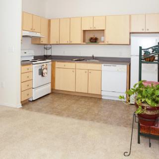 A spacious kitchen featuring beige cabinets, modern appliances, and a potted plant.
