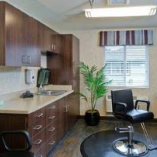 A modern hair salon interior with chairs, cabinets, and a plant by the window.