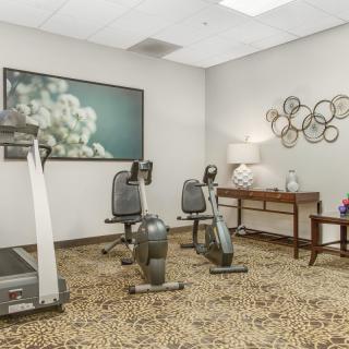 A small gym room with a treadmill, two stationary bikes, and decorative elements.