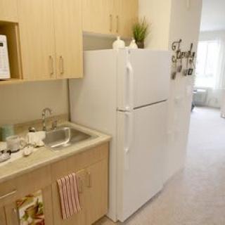 A compact kitchen area with a refrigerator and sink in a small apartment setting.