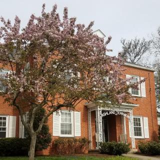 A brick house with a blossoming tree in the front garden, showcasing a picturesque spring scene.
