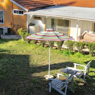 A sunny backyard with a colorful umbrella, chairs, and a well-maintained garden.