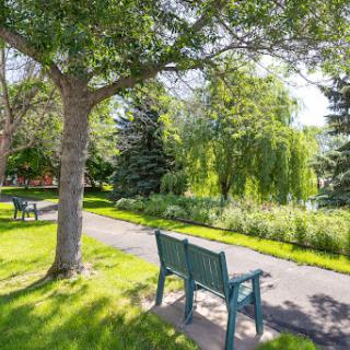 A serene park scene featuring benches under a canopy of trees, inviting visitors to relax and enjoy nature.