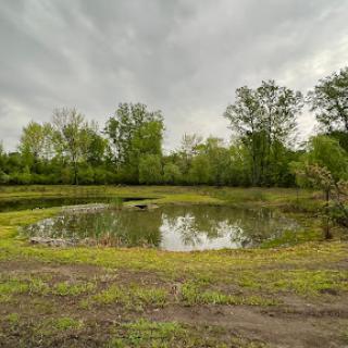 A tranquil pond surrounded by lush greenery under a cloudy sky.