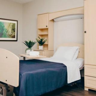 A clean and organized hospital room with a single bed, bedside table, and plants.