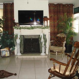 A cozy living room with a fireplace and television, featuring a rocking chair and indoor plants.