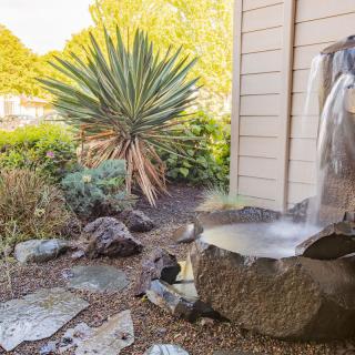 A serene garden space featuring a small water fountain, surrounded by lush greenery and rocks.