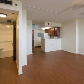 A modern apartment interior with an open living room and kitchen area featuring wood flooring.