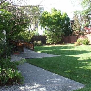A well-maintained garden with a neatly trimmed lawn and a paved pathway winding through lush greenery and trees.