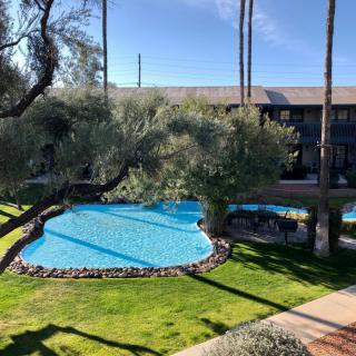 A sunny day view of a resort pool surrounded by lush greenery and tall palm trees.