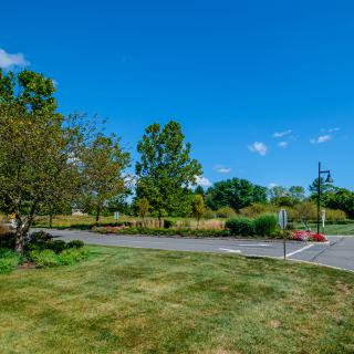 A scenic view of a park with trees, grass, and a clear blue sky.