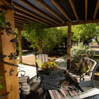 A cozy outdoor patio with comfortable furniture set under a wooden pergola surrounded by lush greenery.