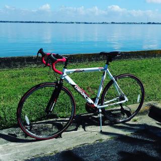 A bicycle resting by the serene waterfront on a sunny day.