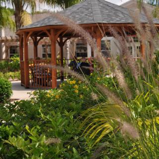 A beautiful wooden gazebo surrounded by lush greenery and palm trees in a garden setting.