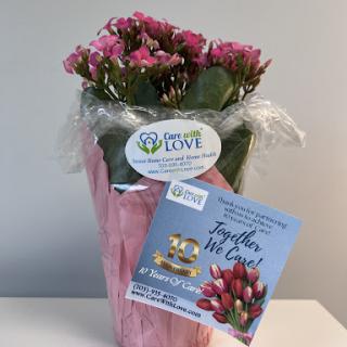 A lovely pink flowering plant accompanied by a heartfelt card, perfect for any occasion.
