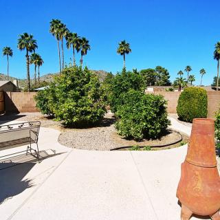 A sunny backyard garden with palm trees and a patio.