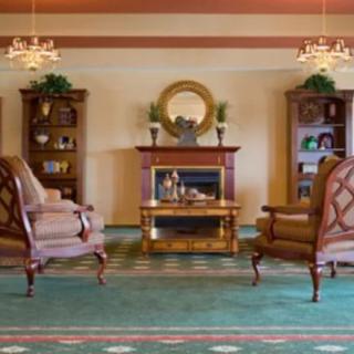 A cozy living room with elegant armchairs and a central fireplace, adorned with bookshelves and chandeliers.
