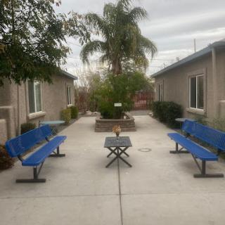 A serene courtyard with blue benches and a palm tree in the center.