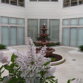 A serene courtyard with a central fountain and blooming flowers.