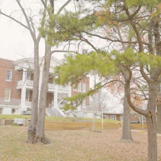 A historic building framed by towering trees, showcasing classic architecture.