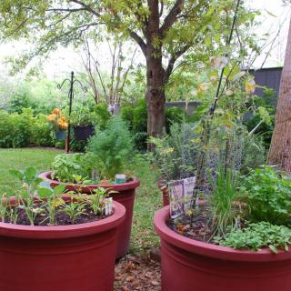 A lush garden with potted plants and trees in the background.