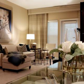 A cozy and elegantly decorated living room with a modern aesthetic.