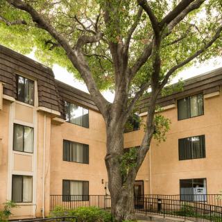 An exterior view of a residential apartment building with a large tree in front.