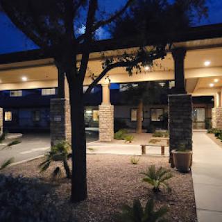 A welcoming entrance to a building illuminated at night, surrounded by palm trees and decorative landscaping.