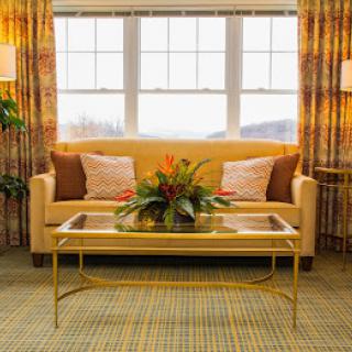 A cozy living room with a sofa, coffee table, and decorative plants.