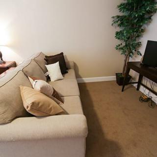 A cozy living room with a beige sofa, decorative cushions, and a TV on a stand next to an indoor plant.