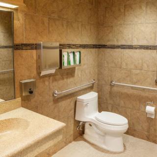 A modern bathroom equipped with essential amenities for accessibility.